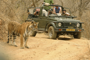 Innovator Spotlight exploring India’s wilderness with Wild Navigator3
