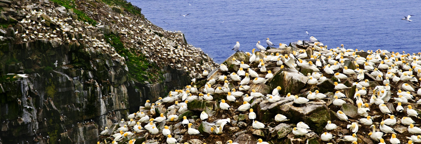 UNESCO World Heritage status awarded to fossil beds in Atlantic Canada ecological reserve