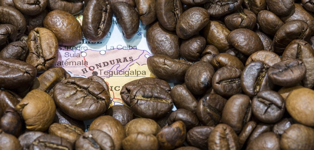 Wake up and smell the coffee in Honduras