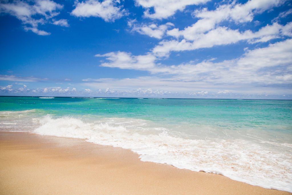 sandy beach and sea