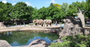 Chester zoo to re-open