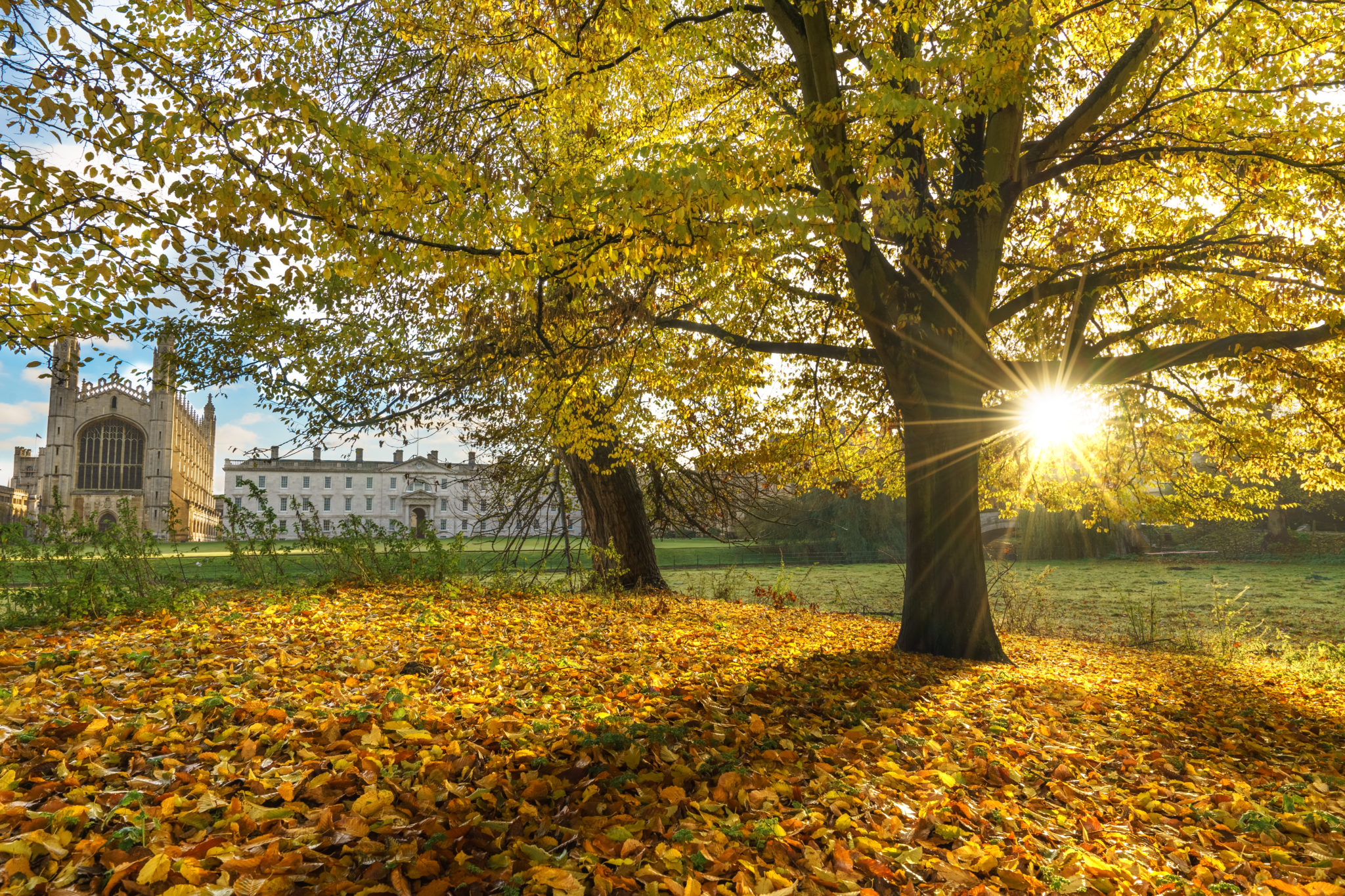 8 best places to enjoy autumn in the UK | WTM Global Hub