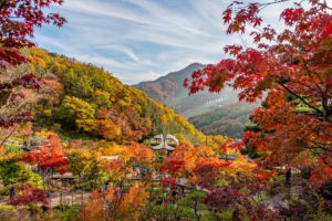 South Korea untact travel