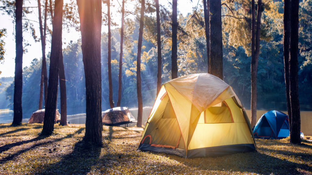 UK camping holiday trends