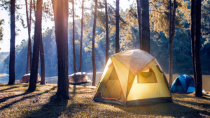 UK camping holiday trends