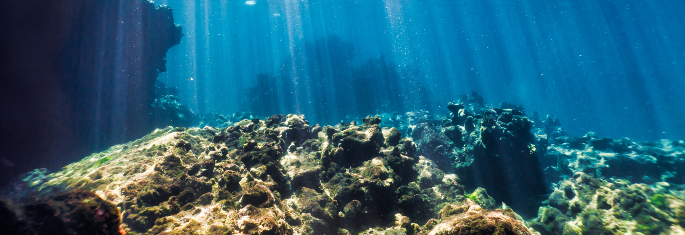 Destinations must look to our oceans for regenerative tourism opportunities