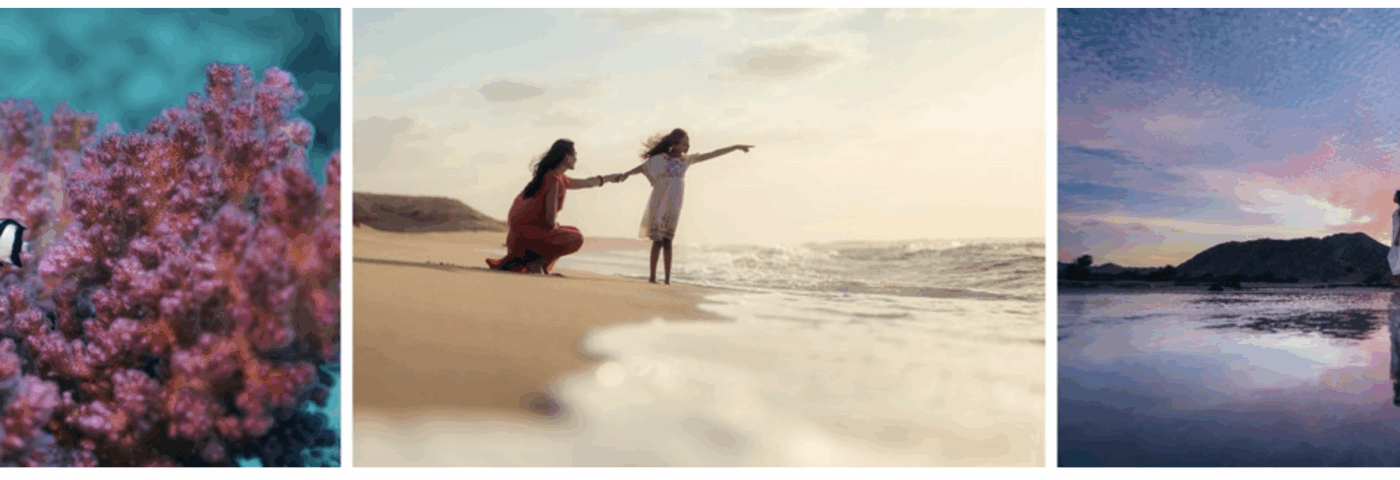 Five Reasons AMAALA Should be on Everyone’s Radar Right Now