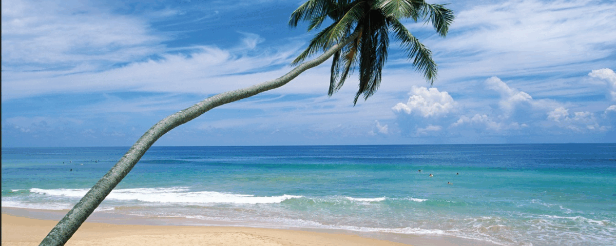 Sri Lanka Tourism Records Remarkable Growth — UK Emerges as the second-largest Source Market 