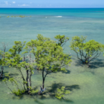 WTM Latin America 2026 abre as inscrições para o Prêmio de Turismo Responsável