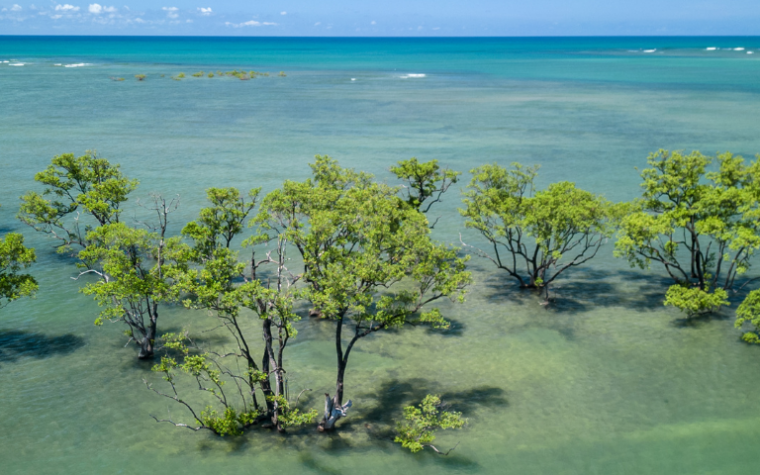 turismo responsável