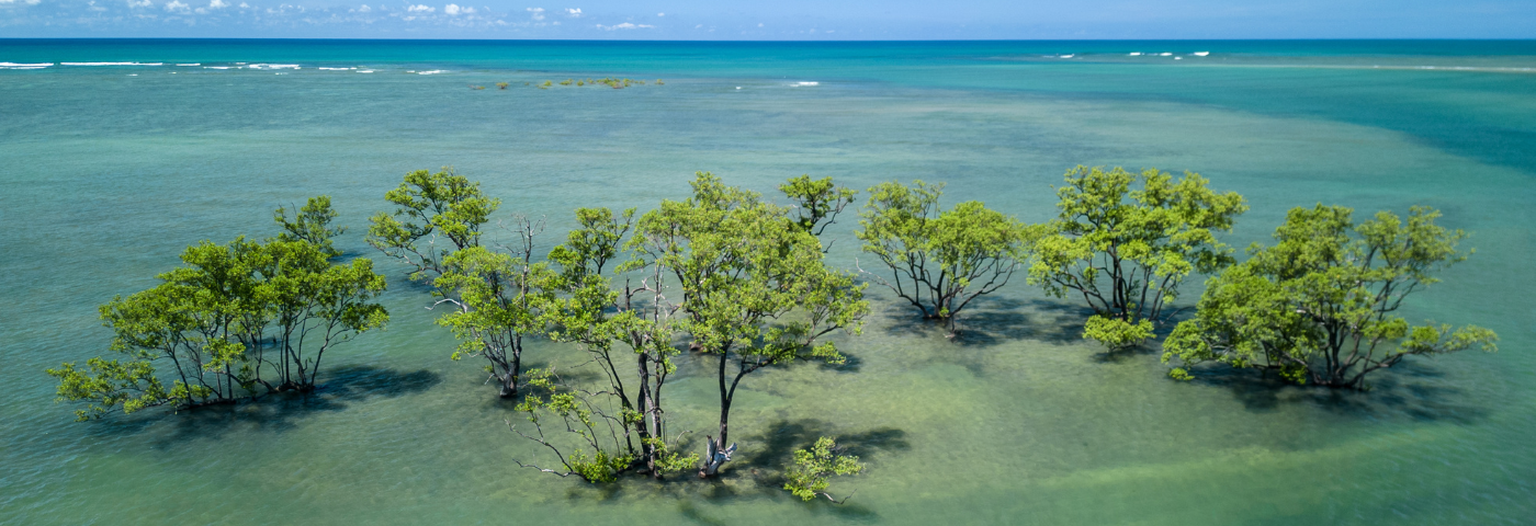 WTM Latin America 2026 opens registration for the Responsible Tourism Award