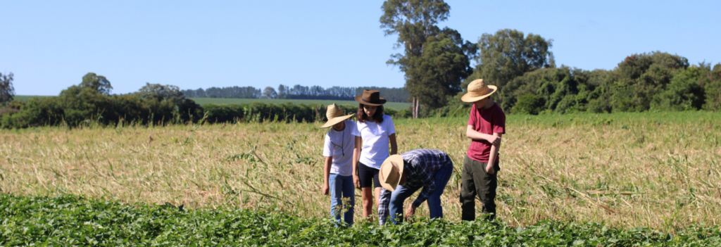 turismo regenerativo