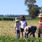 Mejores Iniciativas de Turismo Regenerativo: nueva categoría del Premio al Turismo Responsable de WTM Latin America destaca prácticas en destinos turísticos
